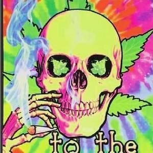 Meet your Posher, Benjamin